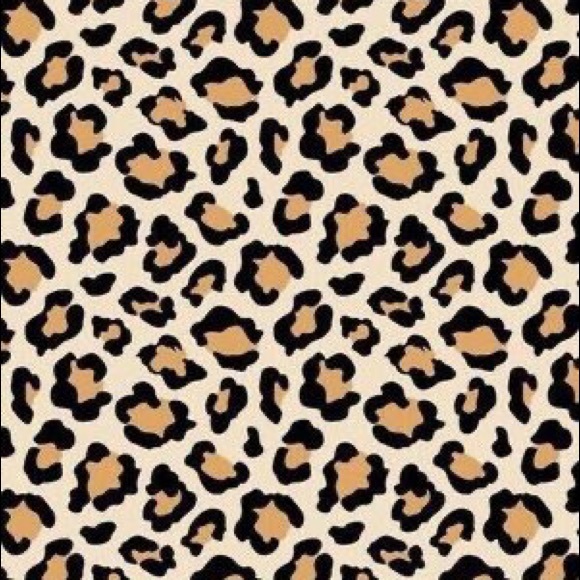 Meet your Posher, Sage - Picture 1 of 1